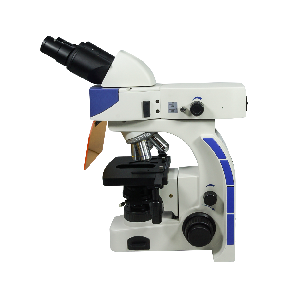 Fluorescence Microscope